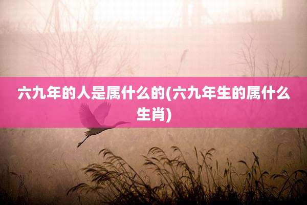 六九年的人是属什么的(六九年生的属什么生肖)