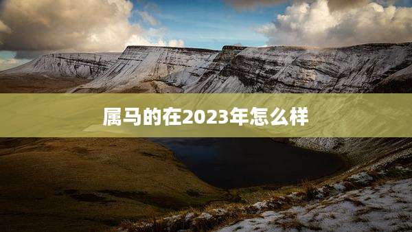 属马的在2023年怎么样
