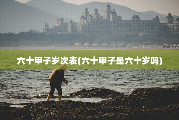 六十甲子岁次表(六十甲子是六十岁吗)