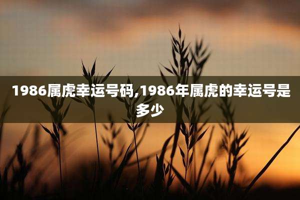 1986属虎幸运号码,1986年属虎的幸运号是多少