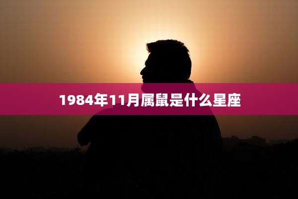 1984年11月属鼠是什么星座