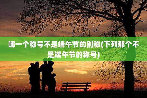 哪一个称号不是端午节的别称(下列那个不是端午节的称号)