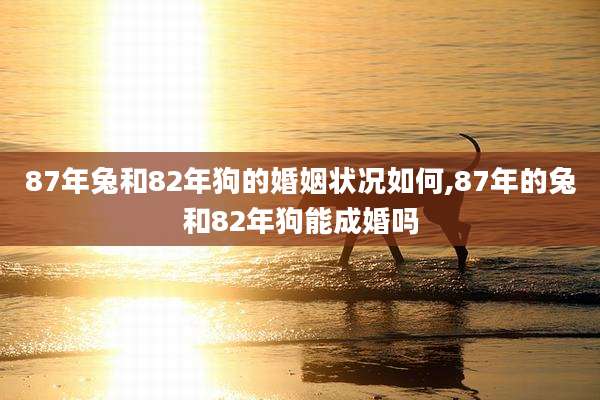87年兔和82年狗的婚姻状况如何,87年的兔和82年狗能成婚吗