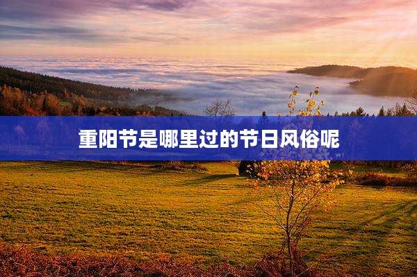 重阳节是哪里过的节日风俗呢