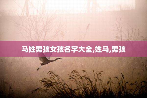 马姓男孩女孩名字大全,姓马,男孩