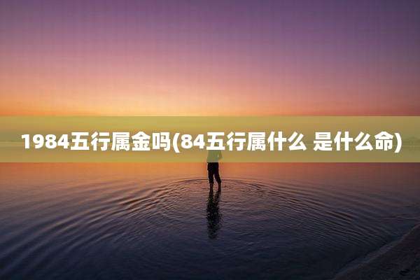 1984五行属金吗(84五行属什么 是什么命)