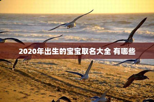 2020年出生的宝宝取名大全 有哪些