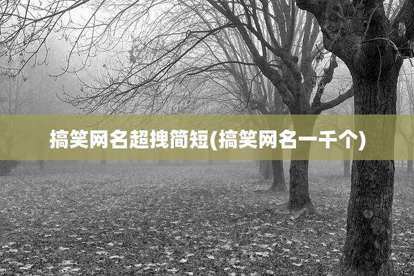 搞笑网名超拽简短(搞笑网名一千个)