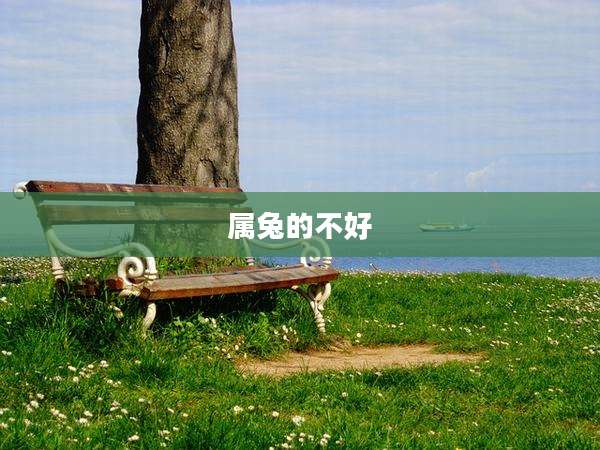 属兔的不好
