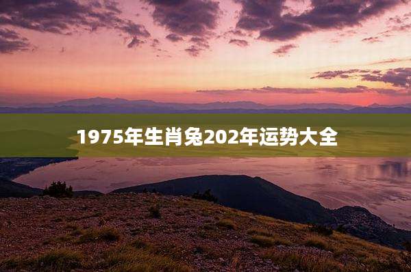 1975年生肖兔202年运势大全