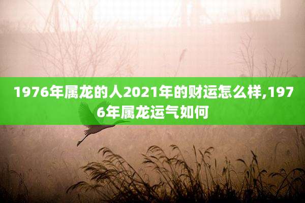1976年属龙的人2021年的财运怎么样,1976年属龙运气如何