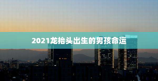 2021龙抬头出生的男孩命运
