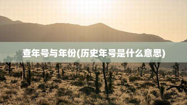查年号与年份(历史年号是什么意思)