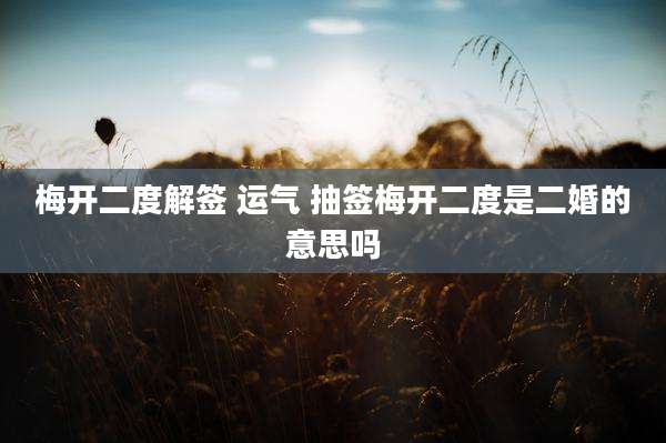 梅开二度解签 运气 抽签梅开二度是二婚的意思吗