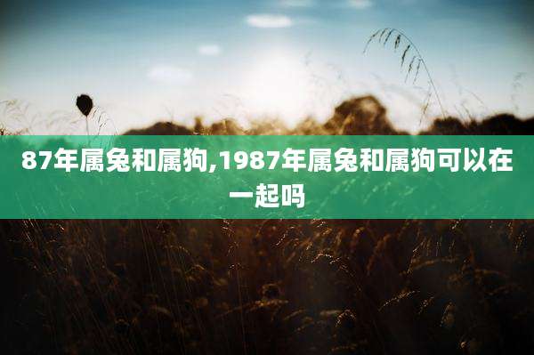 87年属兔和属狗,1987年属兔和属狗可以在一起吗