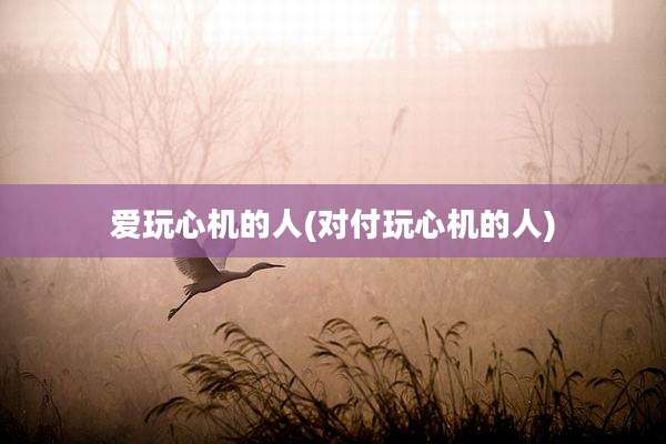 爱玩心机的人(对付玩心机的人)