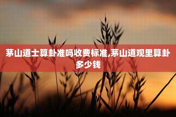 茅山道士算卦准吗收费标准,茅山道观里算卦多少钱