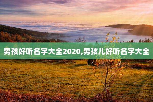 男孩好听名字大全2020,男孩儿好听名字大全