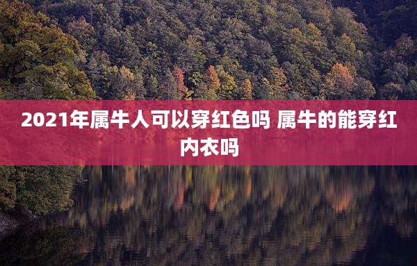 2021年属牛人可以穿红色吗 属牛的能穿红内衣吗