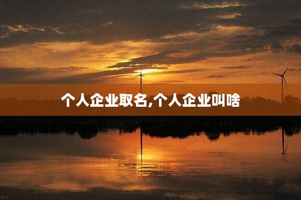 个人企业取名,个人企业叫啥