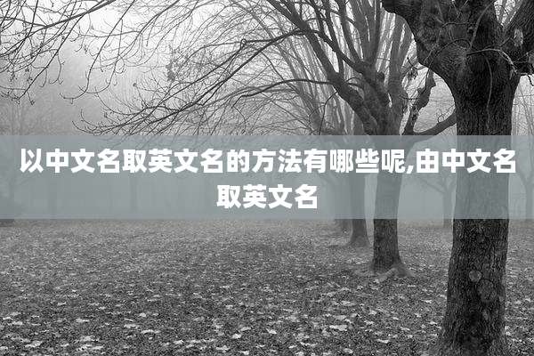 以中文名取英文名的方法有哪些呢,由中文名取英文名