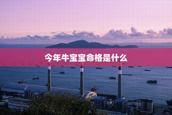 今年牛宝宝命格是什么