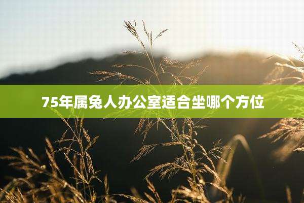 75年属兔人办公室适合坐哪个方位