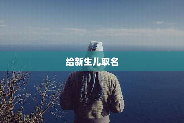 给新生儿取名