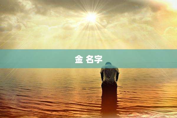 金 名字