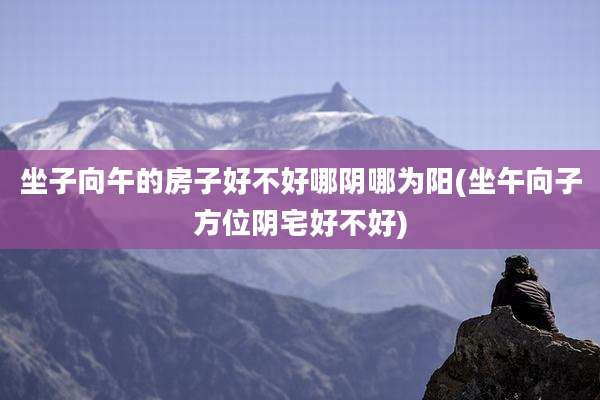 坐子向午的房子好不好哪阴哪为阳(坐午向子方位阴宅好不好)