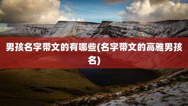 男孩名字带文的有哪些(名字带文的高雅男孩名)