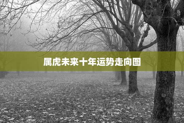 属虎未来十年运势走向图