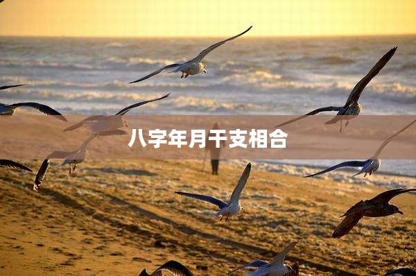 八字年月干支相合