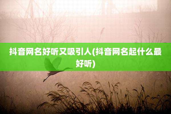抖音网名好听又吸引人(抖音网名起什么最好听)