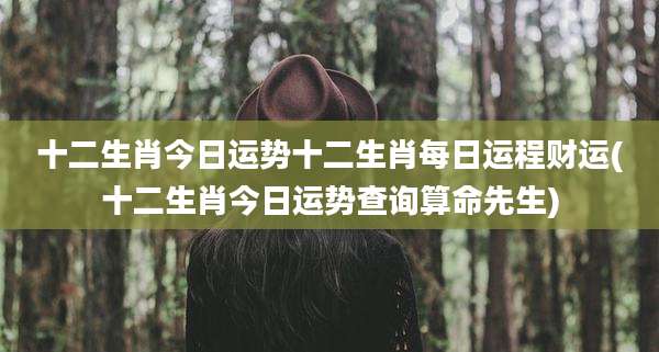 十二生肖今日运势十二生肖每日运程财运(十二生肖今日运势查询算命先生)
