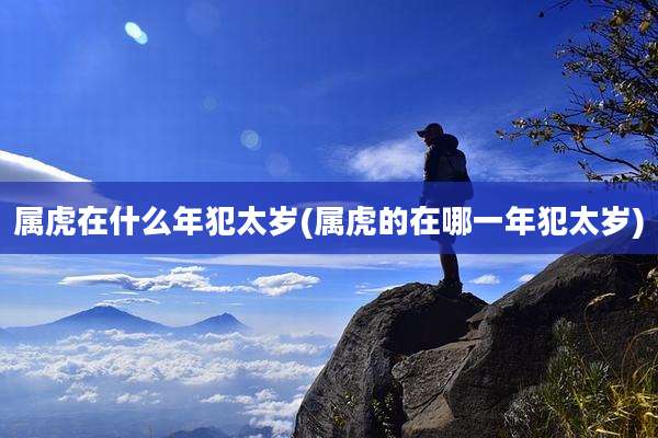 属虎在什么年犯太岁(属虎的在哪一年犯太岁)
