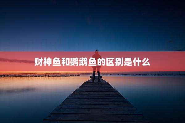 财神鱼和鹦鹉鱼的区别是什么