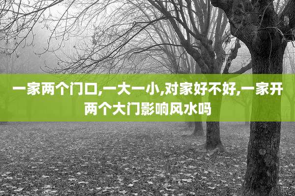 一家两个门口,一大一小,对家好不好,一家开两个大门影响风水吗
