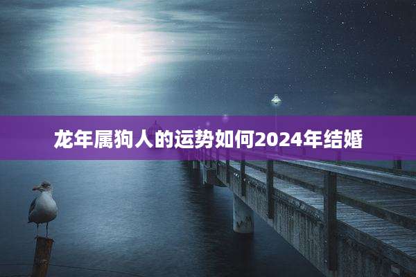 龙年属狗人的运势如何2024年结婚