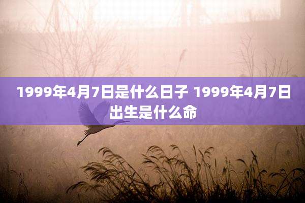 1999年4月7日是什么日子 1999年4月7日出生是什么命