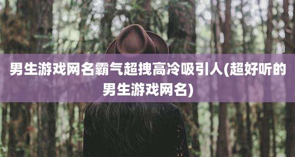 男生游戏网名霸气超拽高冷吸引人(超好听的男生游戏网名)
