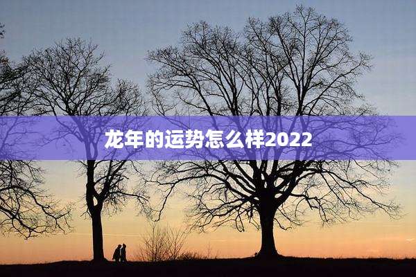 龙年的运势怎么样2022