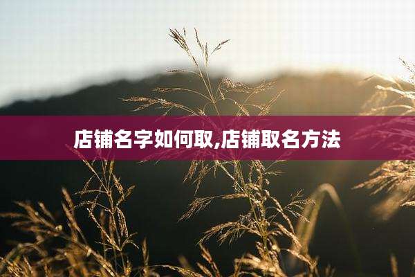 店铺名字如何取,店铺取名方法