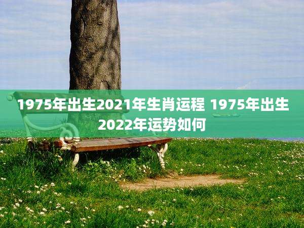 1975年出生2021年生肖运程 1975年出生2022年运势如何