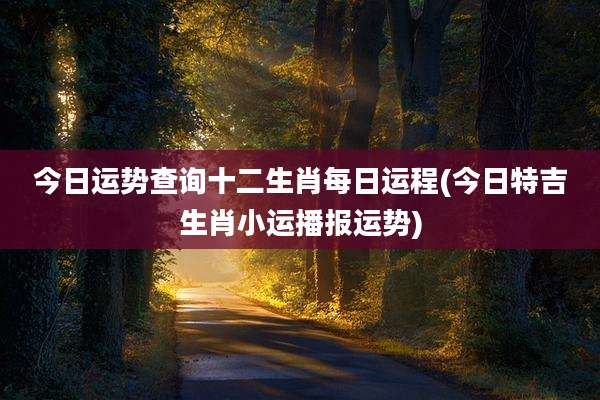 今日运势查询十二生肖每日运程(今日特吉生肖小运播报运势)