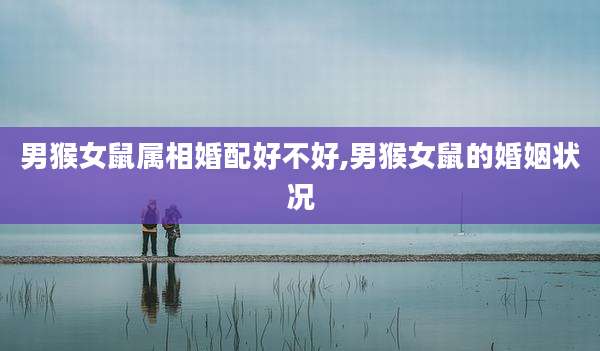 男猴女鼠属相婚配好不好,男猴女鼠的婚姻状况