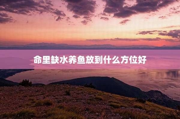命里缺水养鱼放到什么方位好
