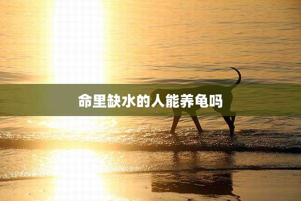 命里缺水的人能养龟吗