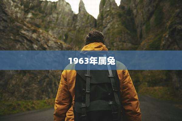 1963年属兔