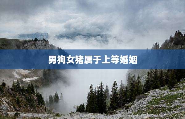 男狗女猪属于上等婚姻